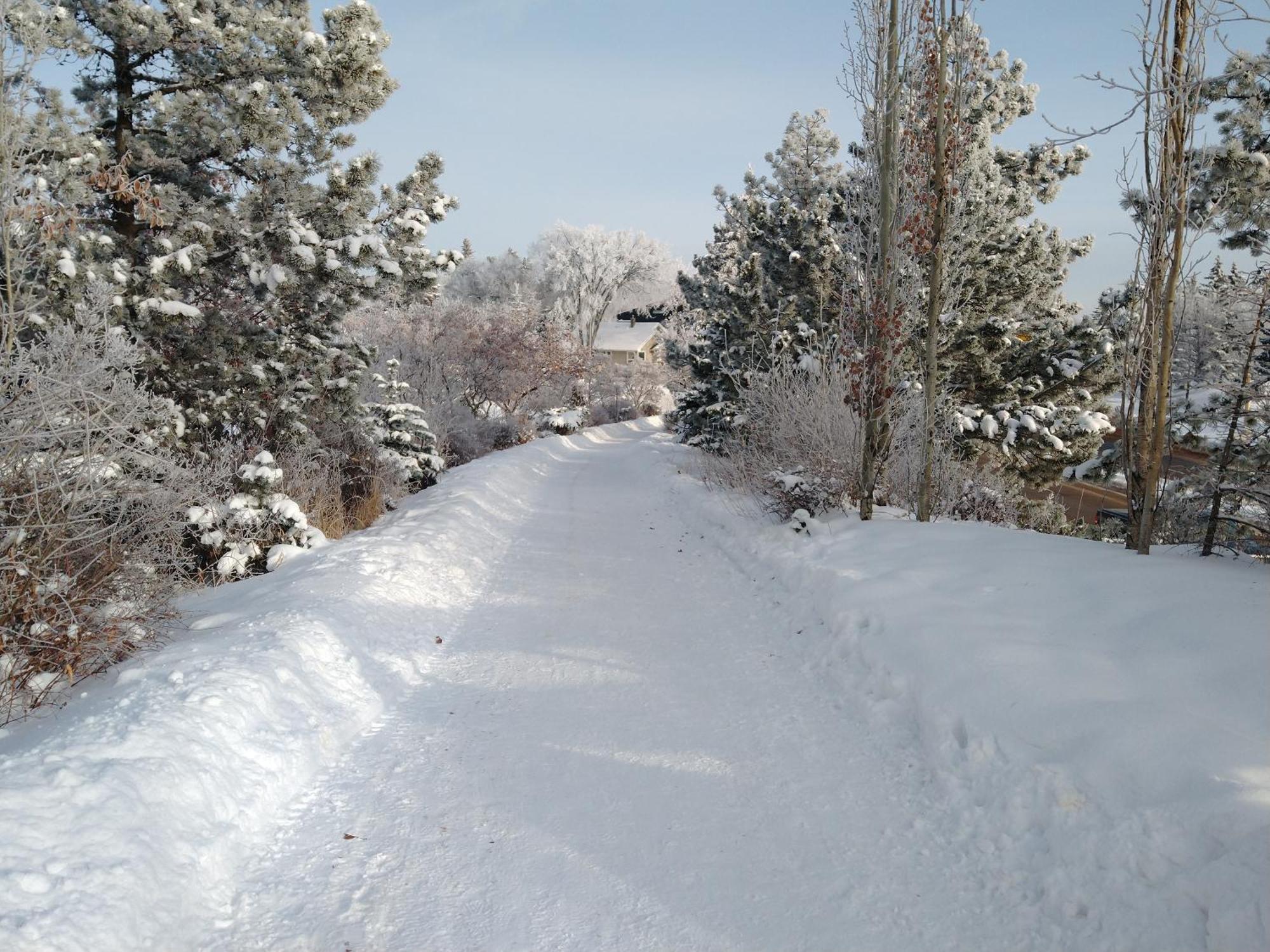 U Of A Homestay, Trails & Whyte Ave Edmonton Room photo