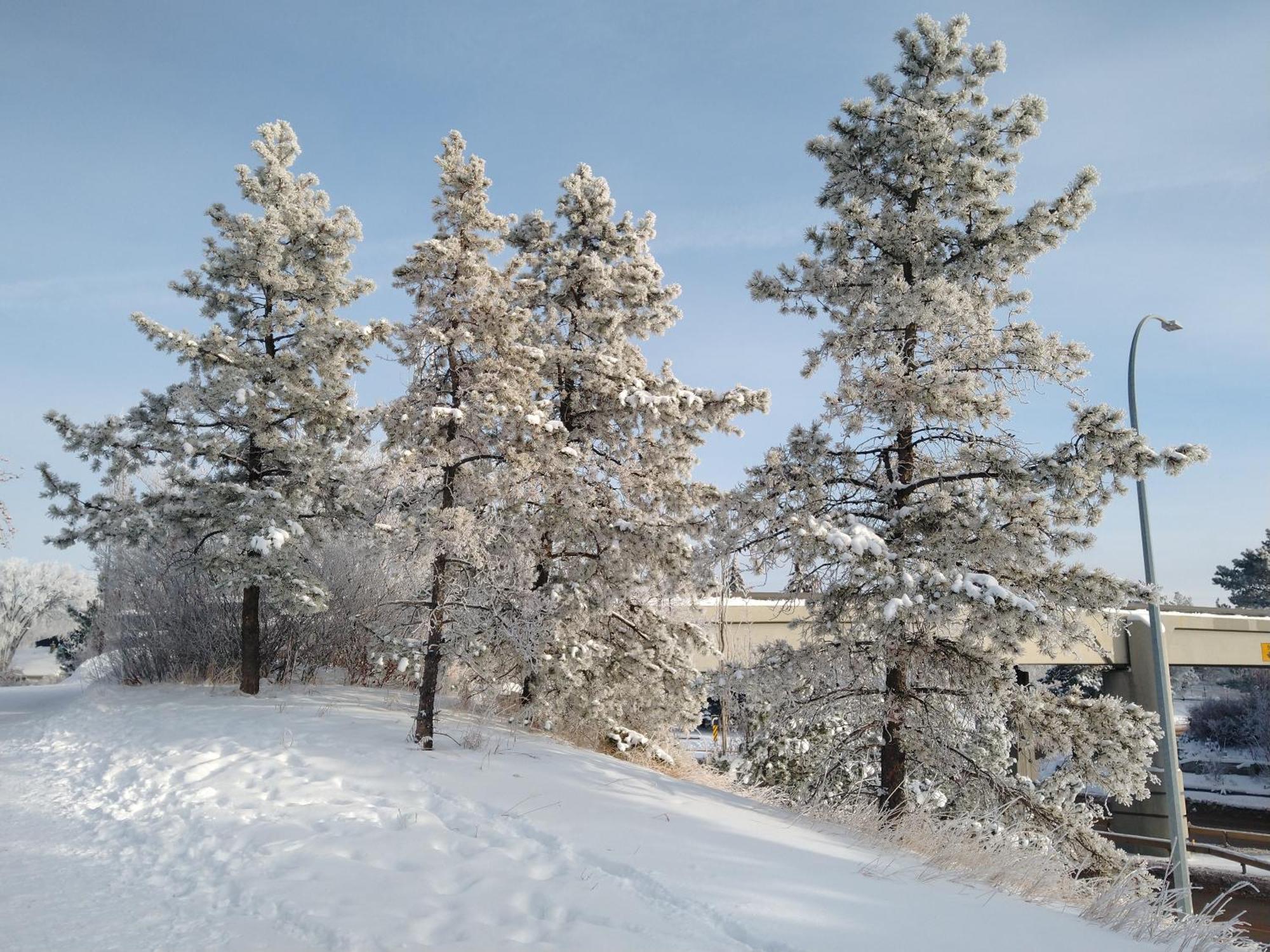 U Of A Homestay, Trails & Whyte Ave Edmonton Room photo